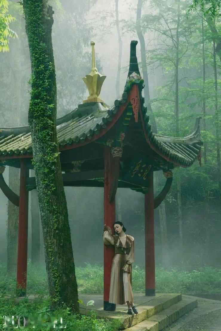 拯救小萌虎