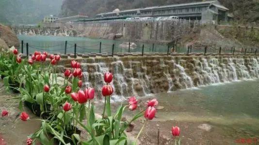 到底怎么火的?到生活中去,下一个“尔滨”在路上