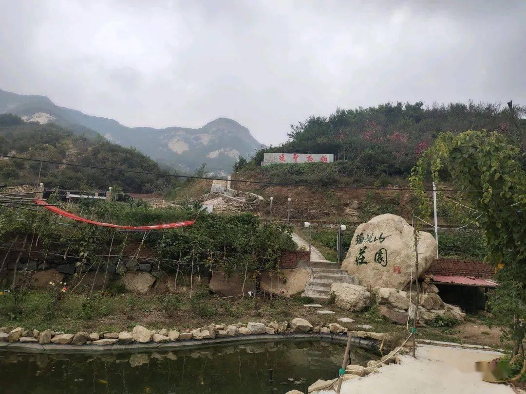 我市省人大代表向大会提交议案建议26件