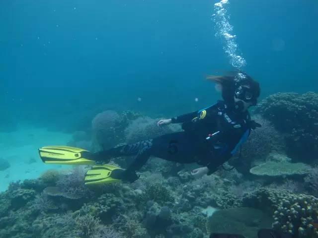 九州海上牧云记