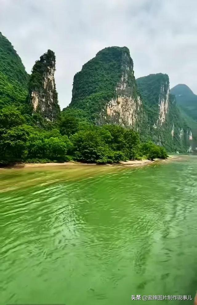 记者大逃脱