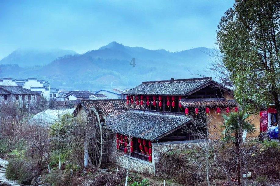拯救落难小鸟